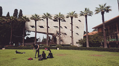 American University of Beirut