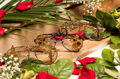 Individualism must be celebrated. La creation de vie available now at slay my shades