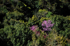 Jeita Grotto, March 2012