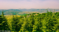 Al Shouf Cedar Forest