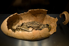 National Museum of Beirut 06