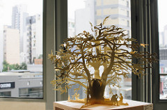 The Cedar Within
