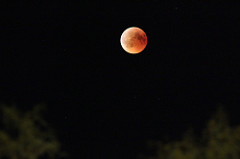 Blood Moon