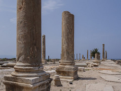 Lebanon 843_m