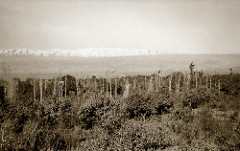 November 1942 - View from the ancient ruins in Baalbek towards the Mountains of Lebanon, Syria (now Lebanon)
