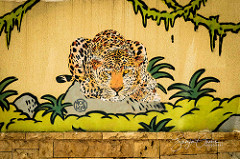STREET ART LAUX
