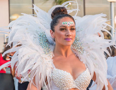White Wings