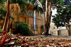 Abandoned old house