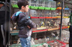 Souk el-Ahad