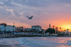 wonderful sunset and beautiful place #saida #sunset
