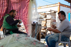 UNDP9591