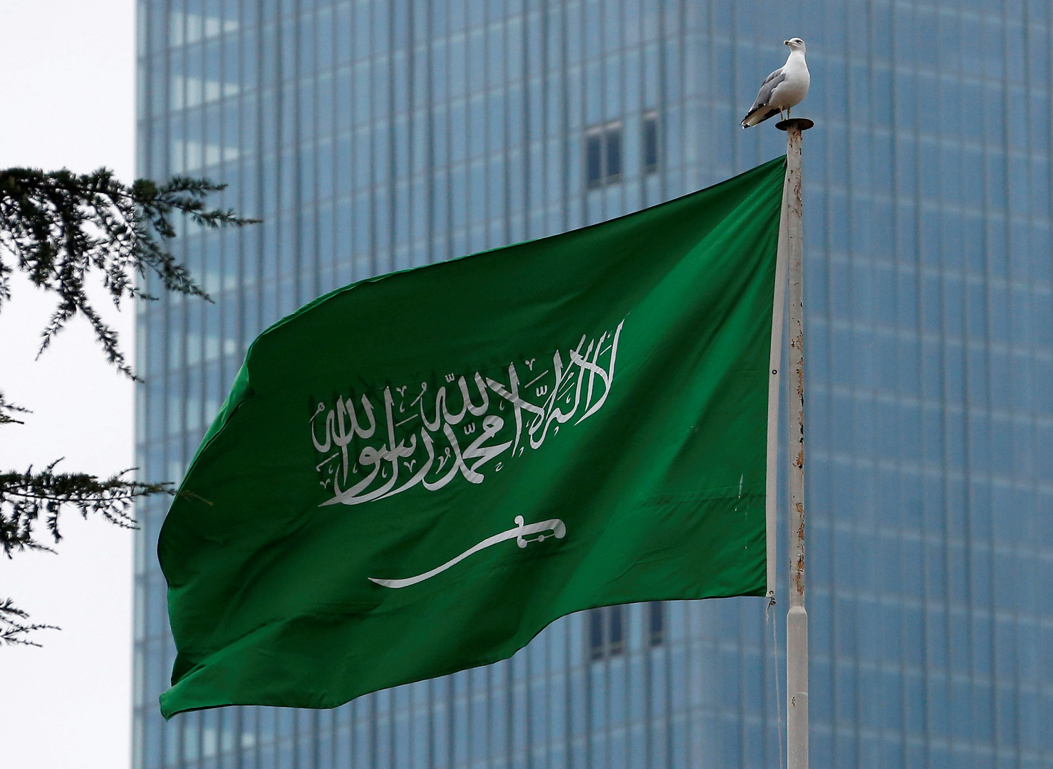 السعودية في طريق الكشف عن أهداف 