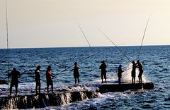 Catch of the day