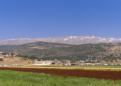 Farm in front of the mountain, Baalbek-Hermel Governorate, Baalbek, Lebanon