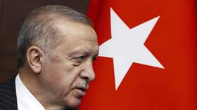 أردوغان: مصممون على تأسيس 
