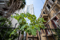 Beirut, Old & New Architecture