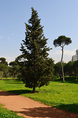 Beirut Park7