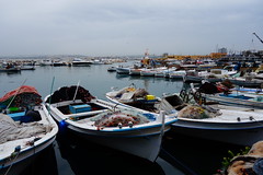The Port - Day Trip to Tyre (Sur/Sour), Lebanon