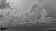 20230429_150844 (2) Cloud