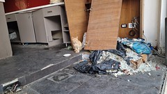 20230429_154312 (2) Cat at Blown Out Port Explosion Shop