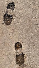 20230430_162248 (2) Footsteps