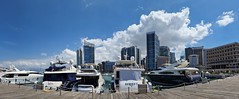 20230501_133443 (2) Zaitunay Bay Marina