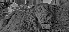 20230504_163835 (2) Temple Lion