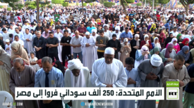 الأمم المتحدة: 250 ألف سوادني فروا إلى مصر