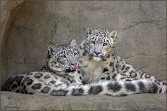 Mother and daughter