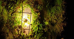 20230505_110406 (2) Cave Light