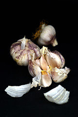 Garlic-1