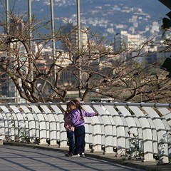 IMG_0345 (2) Spring Sun in West Beirut