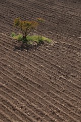 IMG_0982 (2) Ploughed Field - Bekka Valley