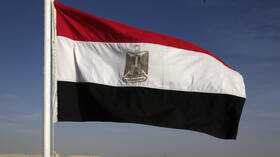 مصر.. غرق قاطرة إثر اصطدامها بناقلة تعبر قناة السويس