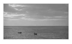 Pêcheurs au large de Beyrouth | Fishermen off the coast of Beirut