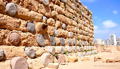 Lebanon, Sidon, Crusaders' castle, cannibalized pillars embedded on the wall