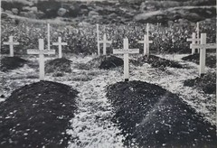 Graves of two brothers - Raymond LA FRANCE and Mervyn LA FRANCE in Lebanon - WW2